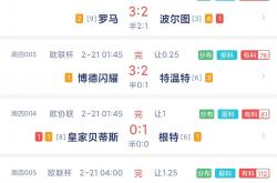 开云APP-乌迪内斯主场战平，已连平状态保级形势良好的简单介绍
