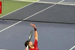 开云体育中国-包含世界网球队完胜日本网球队，德约科维奇打破历史纪录的词条