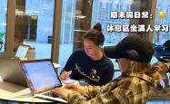 开云体育-关于汉堡俱乐部主教练下课，管理层震惊的信息