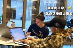 开云体育-关于汉堡俱乐部主教练下课，管理层震惊的信息