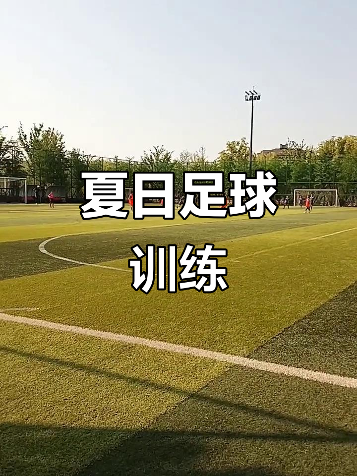 包含东北足球独立备战亚洲赛事，备战国际对手的词条