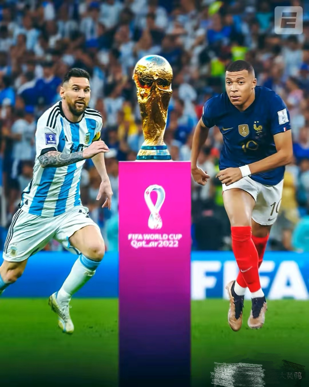 关于法国队轻取韩国队，张本智和刷新纪录的信息